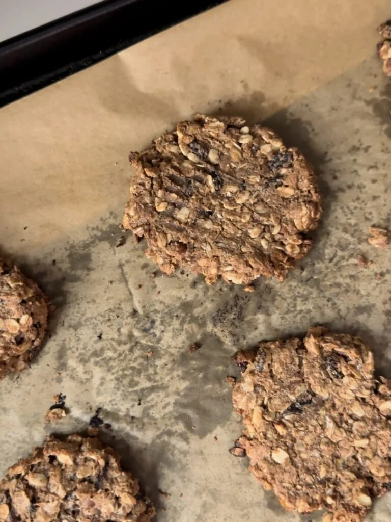 HEALTHY OATMEAL RAISIN COOKIES