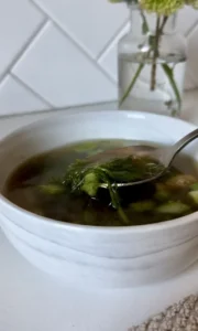 GUT SOOTHING BROTH SOUP